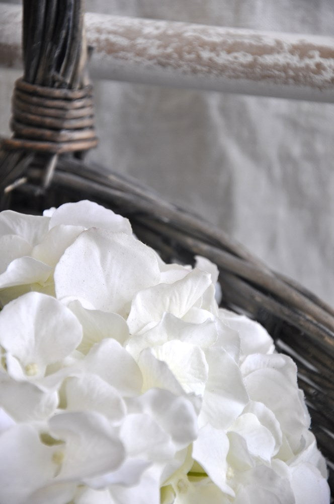 White Hydrangea 'Real Feel' – Grove Home